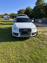 Audi SQ5 3.0 TDI competition 326 PS PANO/B&O/ - weiße Audi SQ5