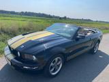 Ford Mustang V8 Cabrio - Ford Mustang aus 2005: Cabrio