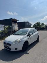 Fiat  punto - Fiat Punto Gebrauchtwagen in Stuttgart