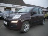 Fiat Panda 1.2 Lounge *Klima*5-Sitzer*TOP gepflegt!* - Fiat Panda: Sitze