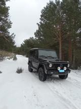 Mercedes-Benz G 300 TD w463 - Mercedes-Benz G 300: 300td