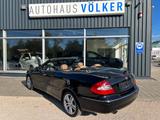 Mercedes-Benz CLK 200 Kompressor Cabrio+Avantgarde+Leder+ - Mercedes-Benz CLK 200 Gebrauchtwagen