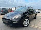 Fiat Punto Easy Multijet 1.3 Klima Startstop Tüv - Fiat Punto Gebrauchtwagen in Hamburg