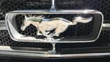 Ford  Mustang GT Convertible, Luxury Pony, 1965