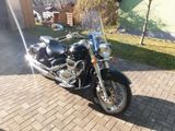 Suzuki Intruder C  800 - SUZUKI C 800
