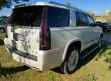 Cadillac Escalade 6.2 V8 Platinum frische TÜV - Cadillac Escalade Benzin Gebrauchtwagen