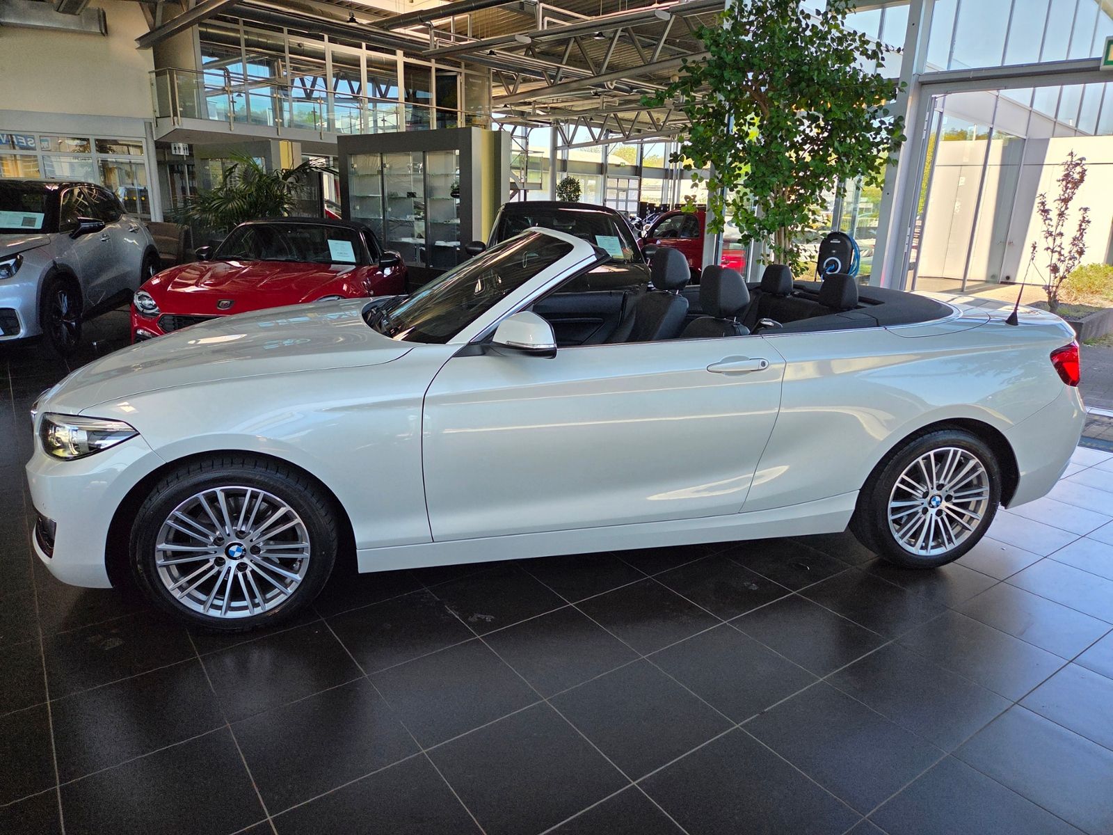 Fahrzeugabbildung BMW 220i Cabrio Luxury Line AHK LED NAV SHZ PDC ALU