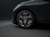 Cupra Raval Endurance Edition Dynamic - Cupra Raval Gebrauchtwagen
