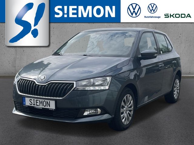 Skoda Fabia Ambition 1.0 TSI PDC SHZ LM17