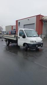 Peugeot Boxer HDI Kipper 07/26 ServiceNeu ... - Peugeot Boxer in Stuttgart