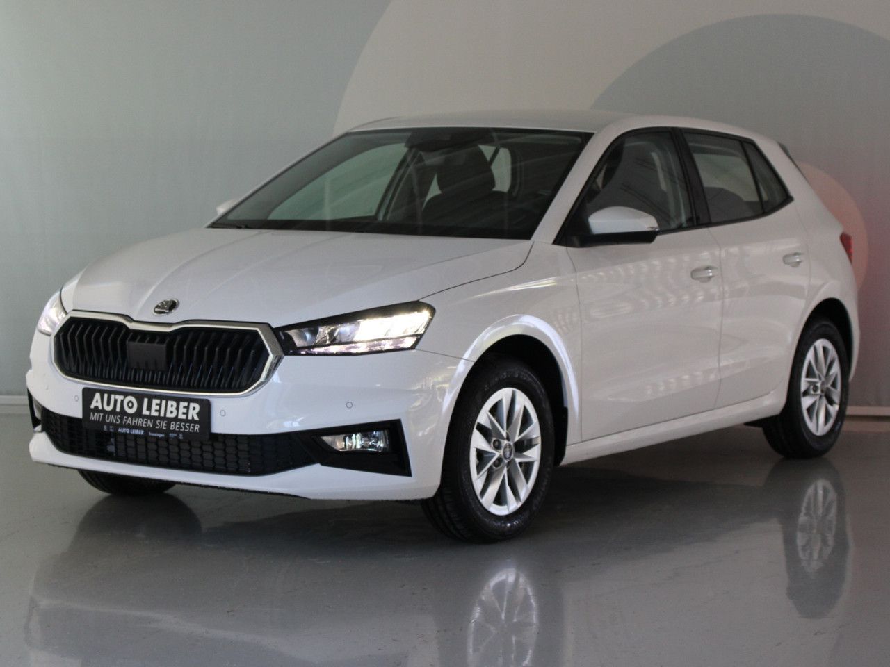 Fahrzeugabbildung SKODA Fabia 1.0 TSI DSG Selection RFK/APP/SHZ