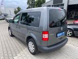 Volkswagen Caddy Kasten/Kombi Roncalli Startline - Volkswagen Caddy: Startline