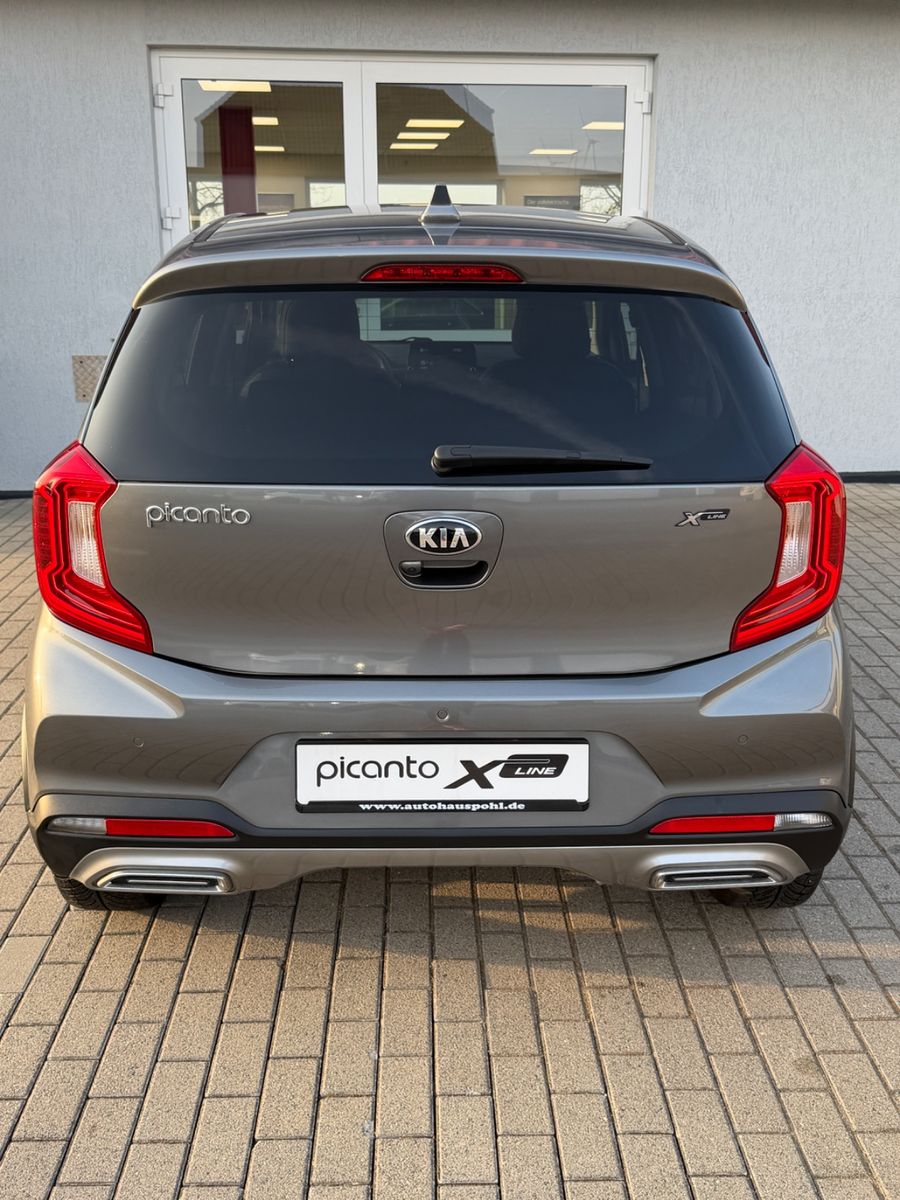 Fahrzeugabbildung Kia Picanto 1.0T X-LINE LIMITED EDITION PETROL