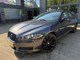 Jaguar XF 2.2 Diesel*XENON*LEDER*KAMERA* - gebrauchte Jaguar XF aus dem Jahr 2014