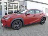 Lexus UX 200 Launch Edition Navi LED SHZ Kamera Tempom - gebrauchte Lexus SUV & Geländewagen