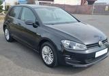 Volkswagen Golf 1.4 TSI 92kW BMT CUP CUP - Volkswagen: 1.9