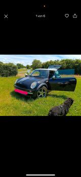 MINI COOPER COOPER - MINI Cooper aus 2001