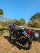 Kawasaki W650 - Angebote