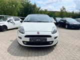 Fiat Punto More "Klimaaut./Temp./ALU/PDC" - Fiat Punto MORE mit Benzin-Antrieb