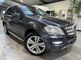 Mercedes-Benz ML 350 LPG Gas Leder 20" RFK AHK Sportpaket - Mercedes-Benz: Lp