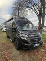 Laika Ecovip 600  - Offers