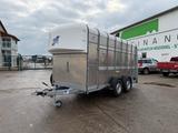 Ifor Williams TA35 for animal transport NEW,NOT REGISTRED 585 - Angebote