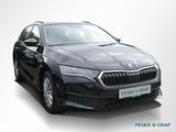 Skoda Octavia Combi 1.5 TSI Essence DSG AHK Smart Link - Skoda Octavia Jahreswagen: Kombi