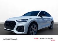 Audi SQ5 - Vorschau Bild 1