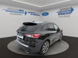Ford Kuga 2.5 Duratec PHEV ST-LINE X - Ford Tageszulassungen