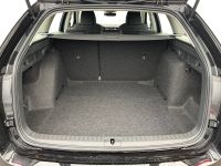 Skoda Octavia - Vorschau Bild 6