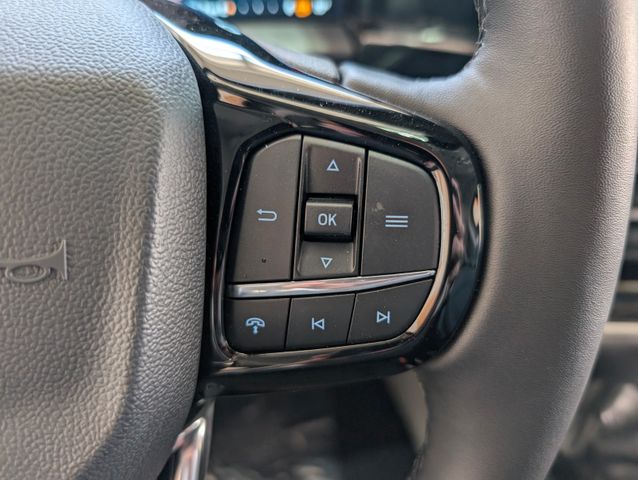 Ford Tourneo Custom 2.0 L Titanium X 5Jahre Garantie!