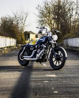 Harley-Davidson Sportster XL 1200 C - HARLEY-DAVIDSON 2000 SPORTSTER 1200