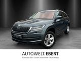 Skoda Kodiaq 2.0 TDI DSG/LED/SHZ/PDC/7-Si./DAB/ - Skoda Kodiaq in Mannheim