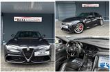 Alfa Romeo Giulia Quadrifoglio 2.9 V6 Bi-Turbo 375kW°Carbon - Alfa Romeo Giulia quadrifoglio mit Benzin-Antrieb