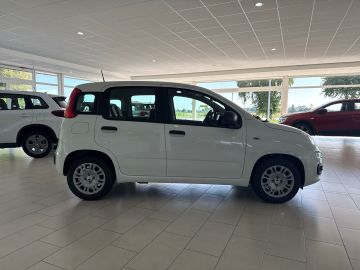 Bild 6 Fiat Panda 1.0 Mild Hybrid DAB Spurhalteass. Verkehrs
