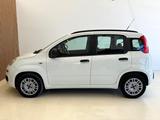 Fiat Panda 1.2 KLIMA/SERVO/ZV/GARANTIE/TÜV 03.27 - Fiat Panda: 1.1
