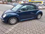 Volkswagen New Beetle 1.4 Cabriolet Standard - Volkswagen New Beetle: Standard