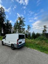 Peugeot Boxer  - Peugeot Kastenwagen Boxer