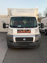Fiat Ducato 2.3 JTD Imbiss Wagen - : Imbiss