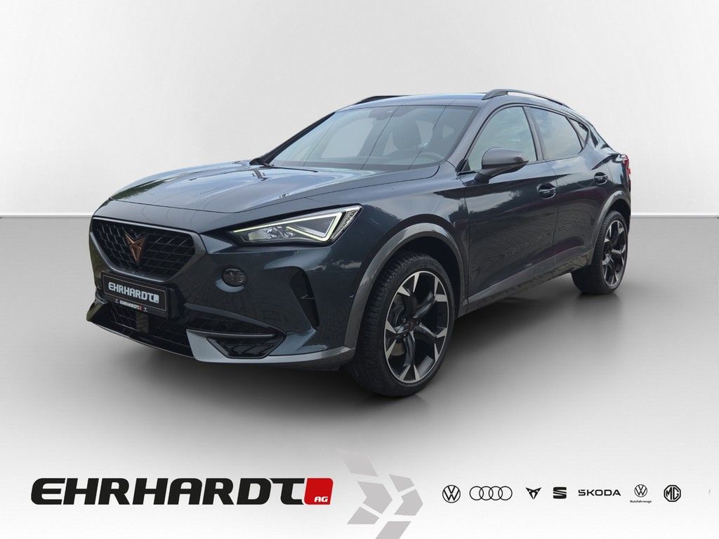 Formentor 2.0 TSI DSG 4Drive AHK*LED*VIRTUAL*NAV