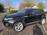 Land Rover Range Rover Evoque 2.0 TD4 Pure/Pano - Land Rover Range Rover Evoque Geländewagen Td4 pure mit Diesel-Antrieb