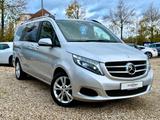 Mercedes-Benz V 250d 4x4 lang Edit. / Burmester / 360° / ACC - Mercedes-Benz V 250 Gebrauchtwagen