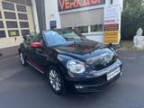 Volkswagen Beetle Cabriolet 1.2 TSI Club Navi PDC Alu 17 Zo - Gebrauchtwagen in Würzburg