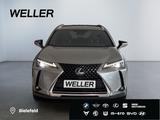 Lexus UX 250h Style Edition *Bi-LED*ACC*CAM*SHZ*WKR*Ca - Lexus Gebrauchtwagen von 2022