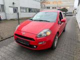 Fiat Punto Basis - Fiat Punto in Berlin
