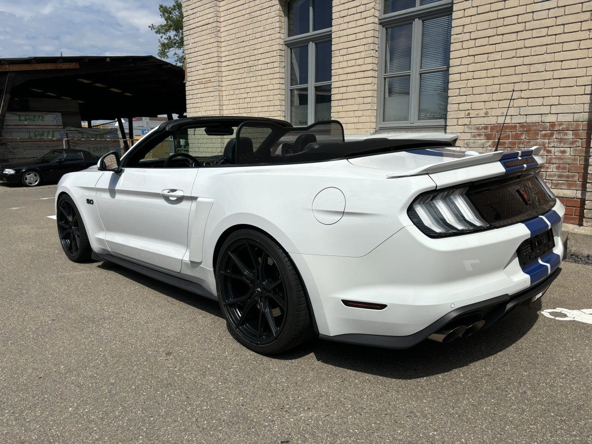 Ford Mustang (GT 5.0 Convertible Shelby-Optik/20Zoll/T)