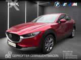 Mazda CX-30 e-SKYACTIVE G 150 EXCLUSIVE-LINE - Mazda CX-30 in Essen
