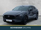 Mazda CX-30 2.5L e-SKYACTIV G FWD Nagisa +BOSE+KAMERA+ - Mazda CX-30 Neuwagen