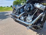Harley-Davidson FXST Softail Standard mit div. Umbauten - Offers matching your search criteria