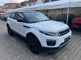 Land Rover Range Rover Evoque SE Design-Paket Black - Land Rover Range Rover Evoque in Stuttgart